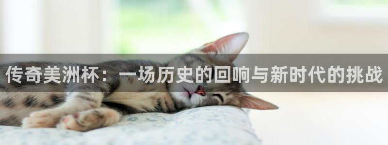 传奇美洲杯：一场历史的回响与新时代的挑战