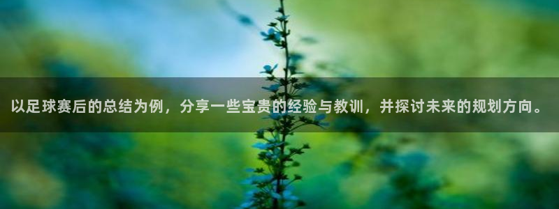  以足球赛后的总结为例，分享一些宝贵的经验与教训，并探讨未来的