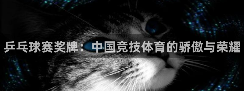 乒乓球赛奖牌：中国竞技体育的骄傲与荣耀