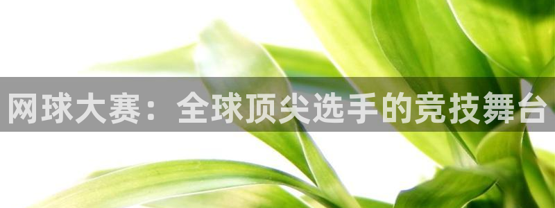  网球大赛：全球顶尖选手的竞技舞台