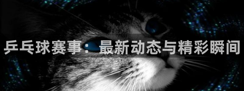 vsports胜利因您更精彩：乒乓球赛事：最新动态与精彩瞬间