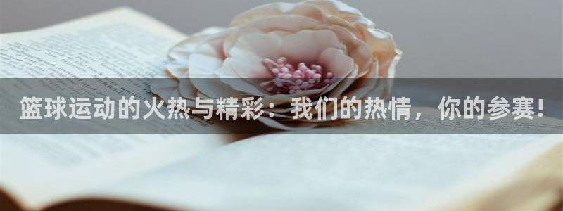 vsport体育祝贺阿根廷成为：篮球运动的火热与精彩：我们的