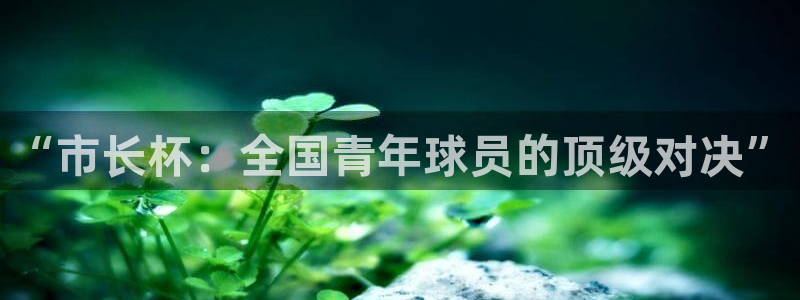 VSports平台登录入口：“市长杯：全国青年球员的顶级对决