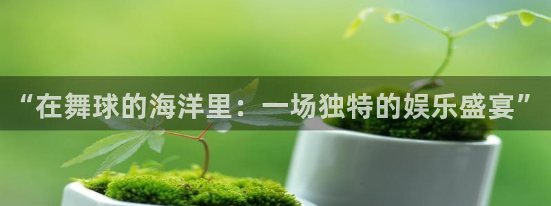 vsport胜利因您更精彩：“在舞球的海洋里：一场独特的娱乐