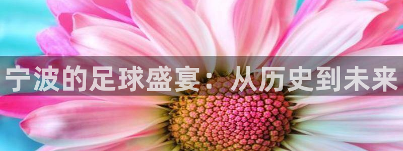 vsports阿根廷：宁波的足球盛宴：从历史到未来