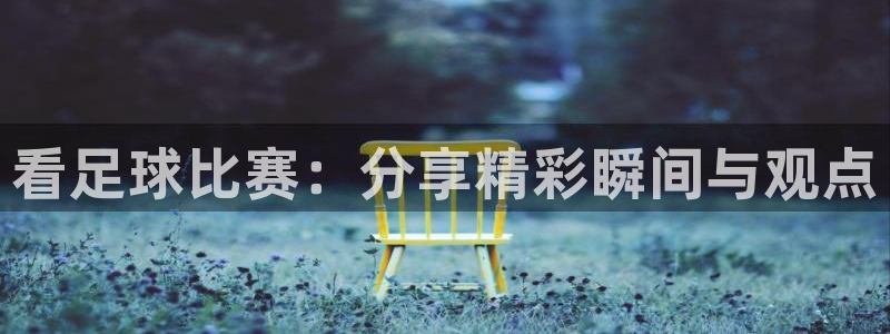 vsport体育在线阿根廷：看足球比赛：分享精彩瞬间与观点