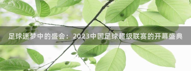 vsport体育在线官网手机版：足球迷梦中的盛会：2023中