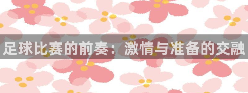 vsports阿根廷最新消息：足球比赛的前奏：激情与准备的交