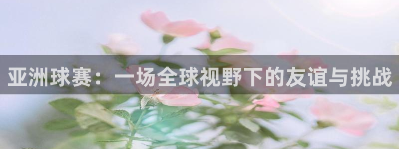 vsport体育阿根廷：亚洲球赛：一场全球视野下的友谊与挑战