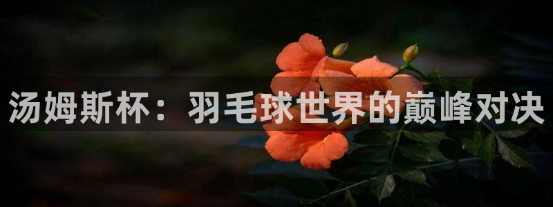  VSport胜利因您更精彩阿根廷国家队：汤姆斯杯：羽毛球世界